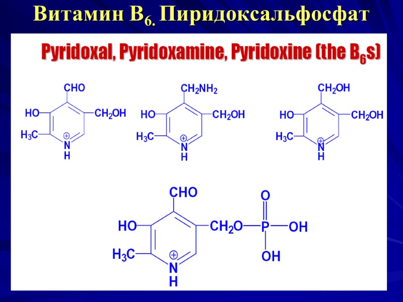 Витамин В6. Пиридоксальфосфат Витамин В6. Пиридоксальфосфат
